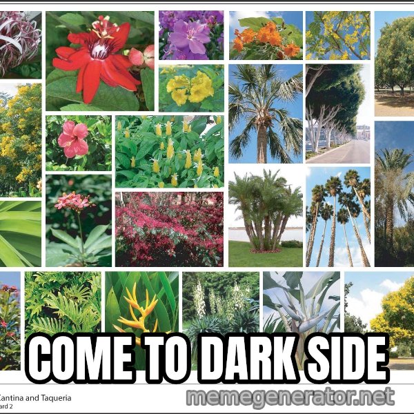 imageboard meme: COME TO DARK SIDE