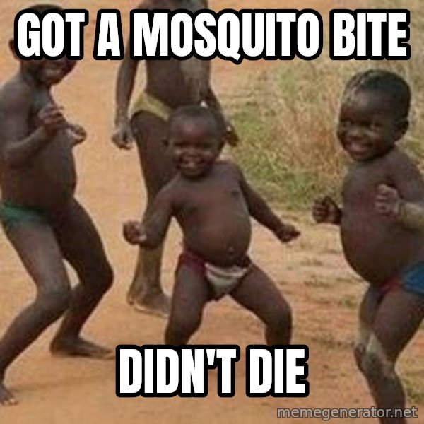 african children dancing meme: GOT A MOSQUITO BITE / DIDN'T DIE