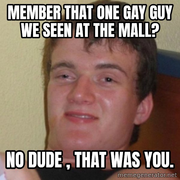 Really Stoned Guy meme: Member that one gay guy we Seen at the mall? / No dude , that was you.