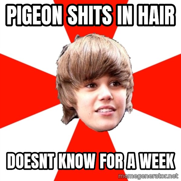 Justin Bieber meme: pigeon shits in hair / doesnt know for a week