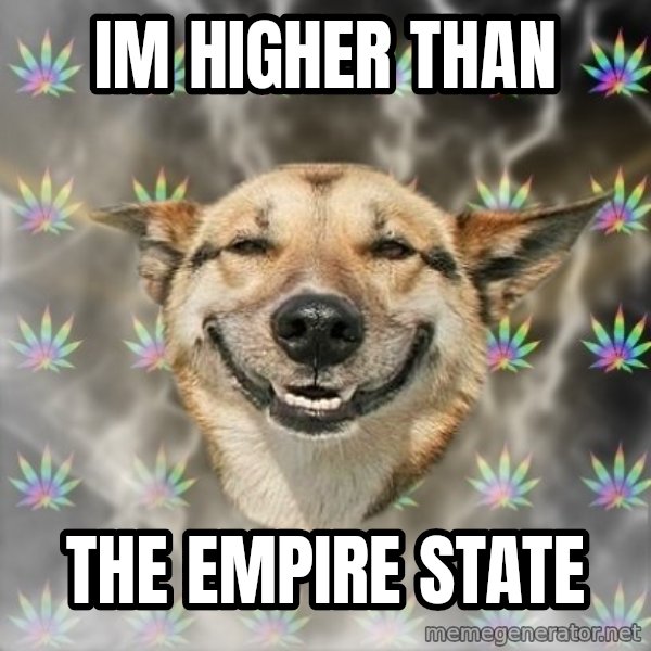 Stoner Dog meme: Im higher than / the empire state