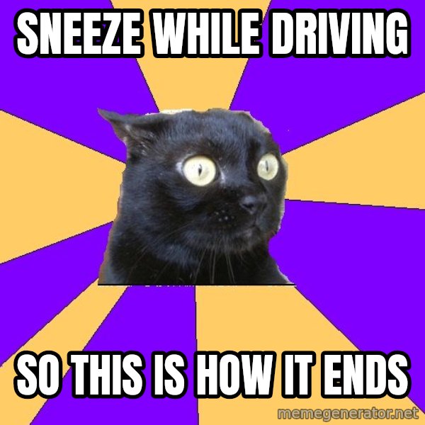 Anxiety Cat meme: Sneeze while Driving / So this is how it ends