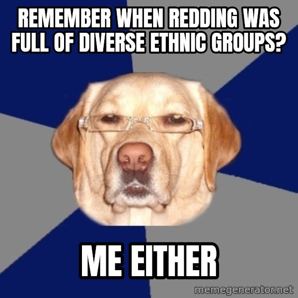 Racist Dawg meme: Remember when redding was full Of diverse eThnic grOups? / Me either