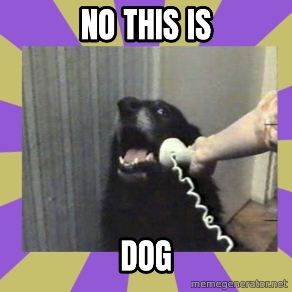 Yes, this is dog! meme: NO THIS IS / DOG