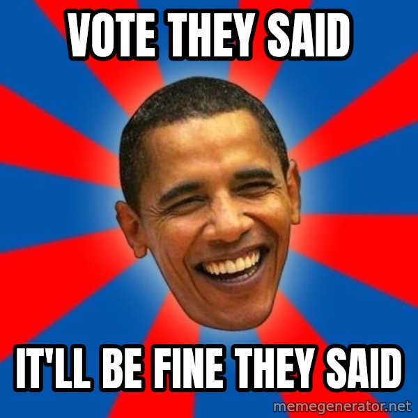 Obama meme: Vote they said / It'll be fine they said