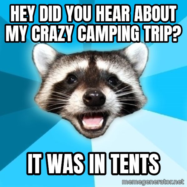 Lame Pun Coon meme: hey did you hear about my crazy camping trip? / it was in tents