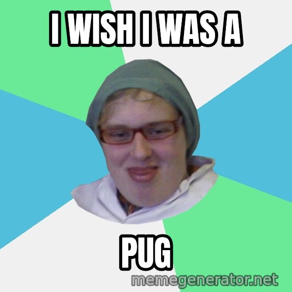 medik meme: I WISH I WAS A / PUG