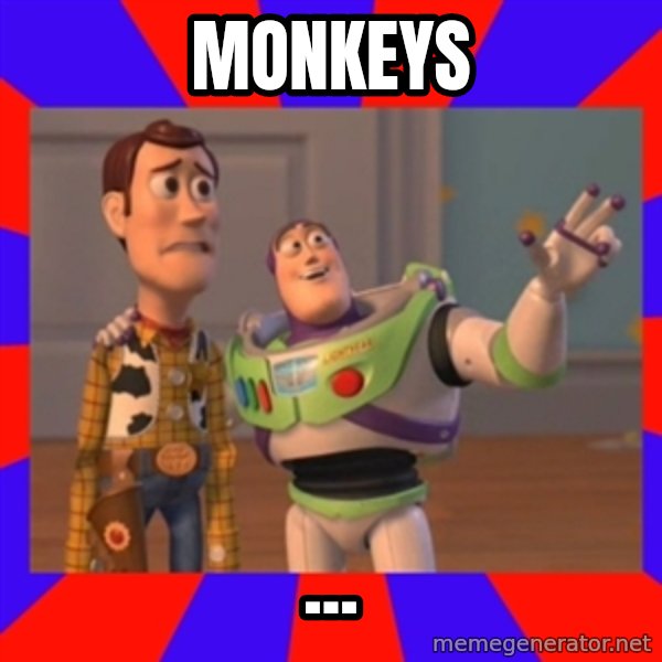 X, X Everywhere  meme: Monkeys / ...