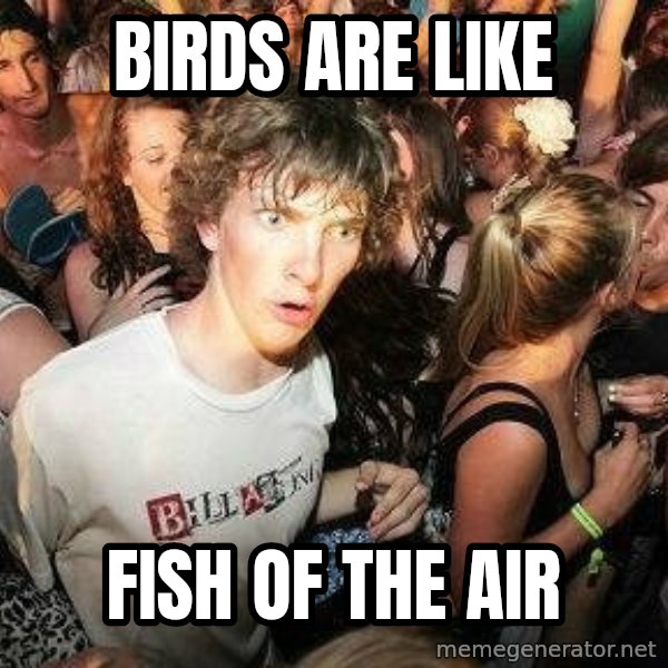 -Sudden Clarity Clarence meme: birds are like / fish of the air