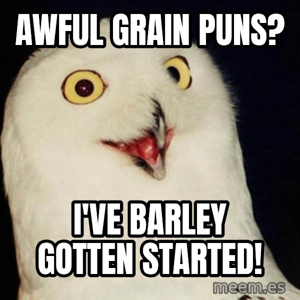 Orly Owl meme: Awful grain puns? / i've barley gotten started!