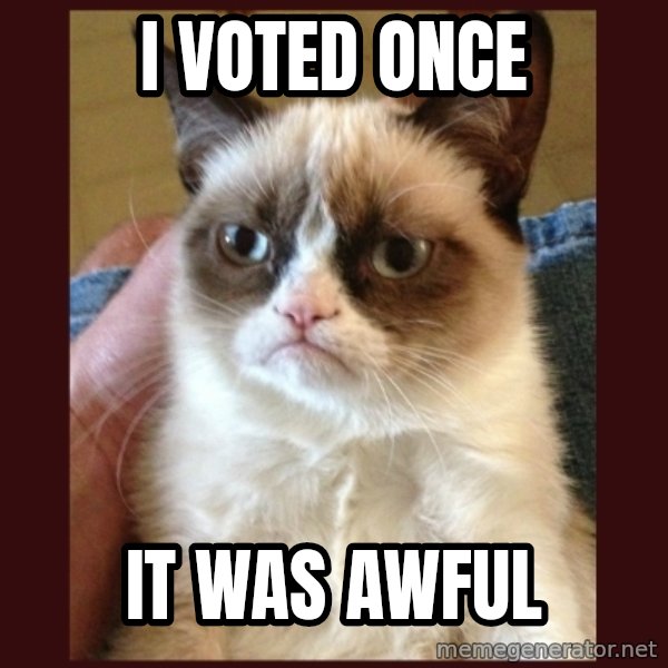 Grumpy Cat  meme: I voted Once / It was awful