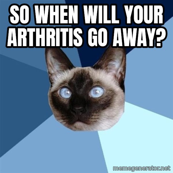 Chronic Illness Cat meme: so when will your arthritis go away?