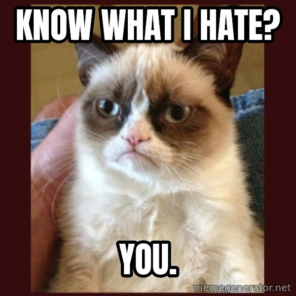Grumpy Cat  meme: KNow what I hate? / You.