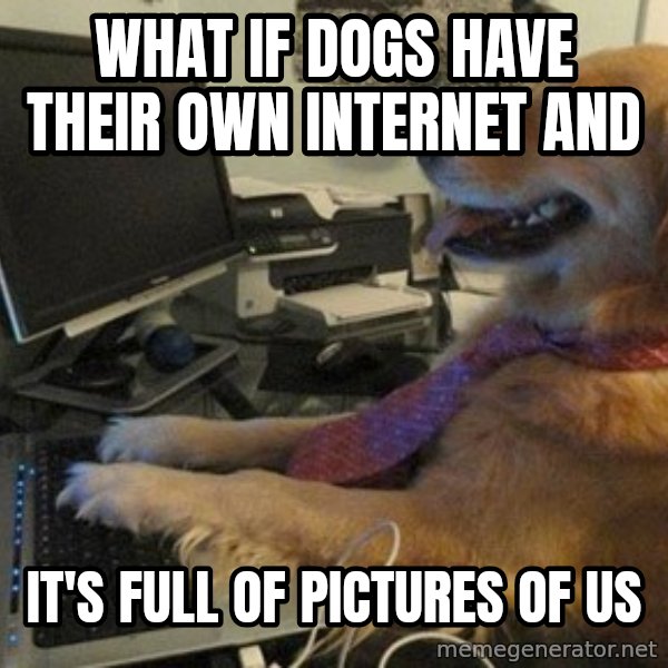I have no idea what I'm doing - Dog with Tie meme: WHAT IF DOGS HAVE THEIR OWN INTERNET AND / IT'S FULL OF PICTURES OF US