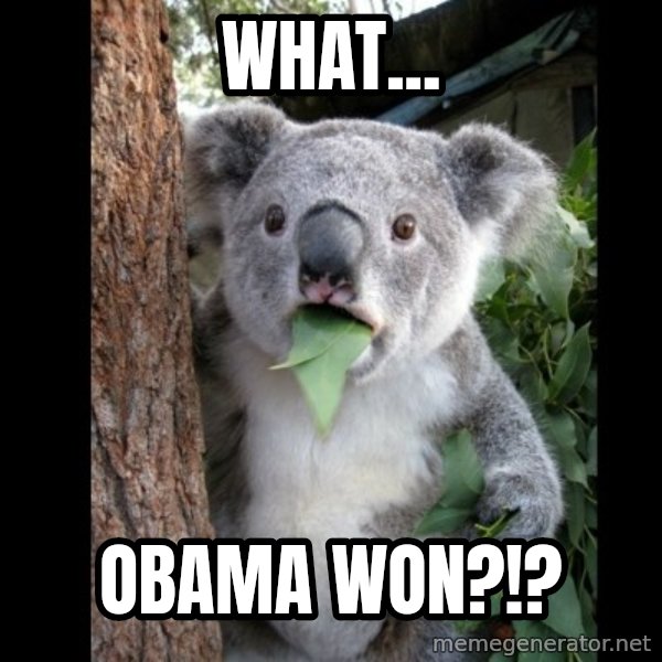 Koala can't believe it meme: What... / Obama won?!?