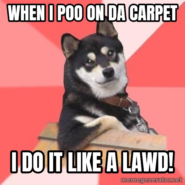 Cool Dog meme: when i poo on da carpet / i do it like a lawd!