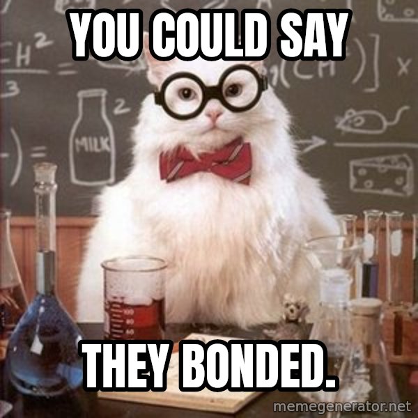 Chemistry Cat meme: You could say / They Bonded.