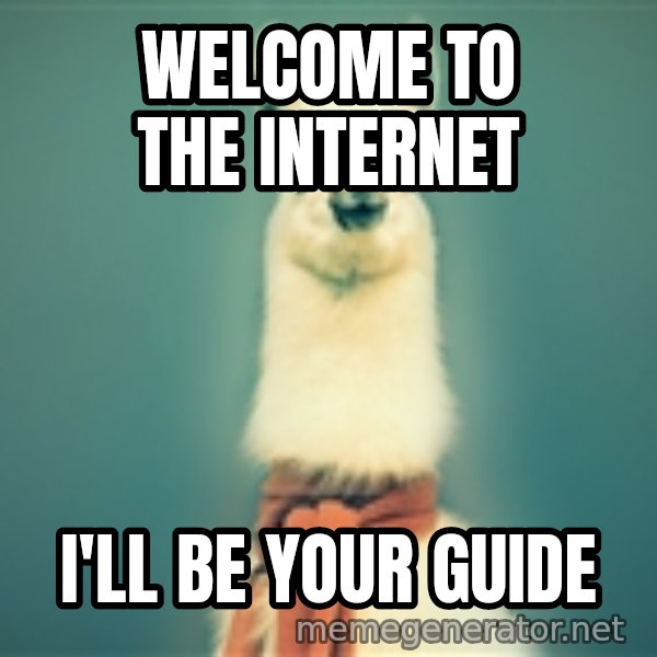 Pancakes llama meme: WELCOME TO THE INTERNET / I'LL BE YOUR GUIDE