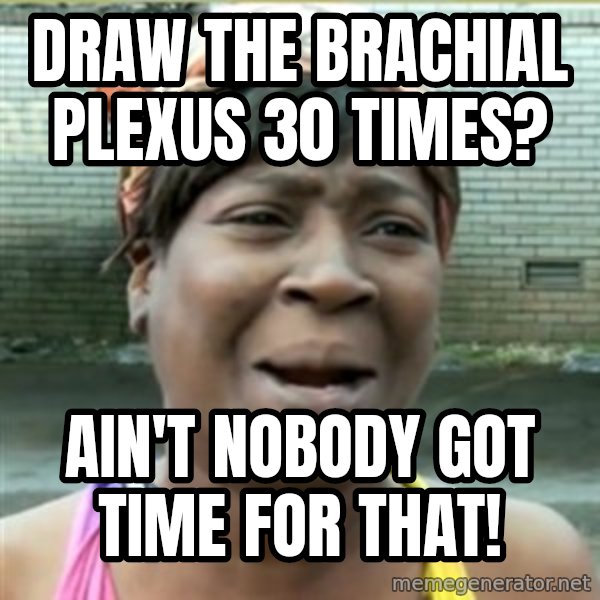 Ain't Nobody got time fo that meme: DRAW THE BRACHIAL PLEXUS 30 TIMES? / aIN'T NOBODY GOT TIME FOR THAT!