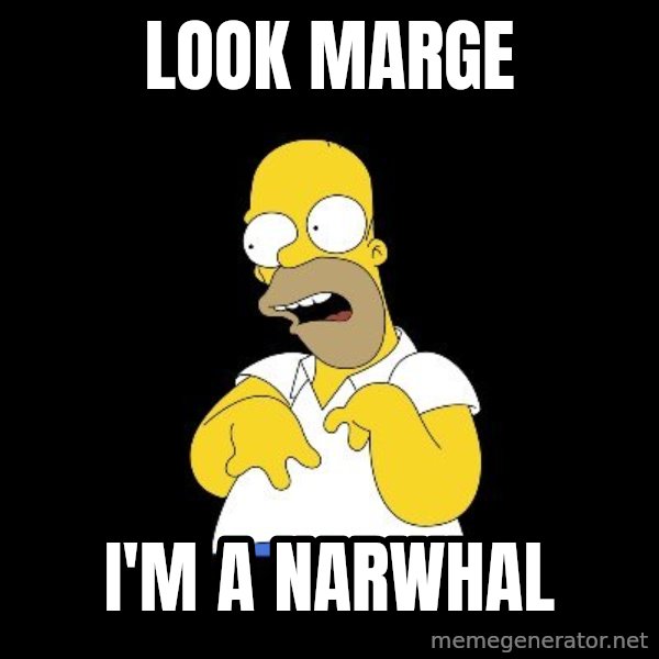 look-marge meme: LOOK MARGE / I'M a NARWHAL