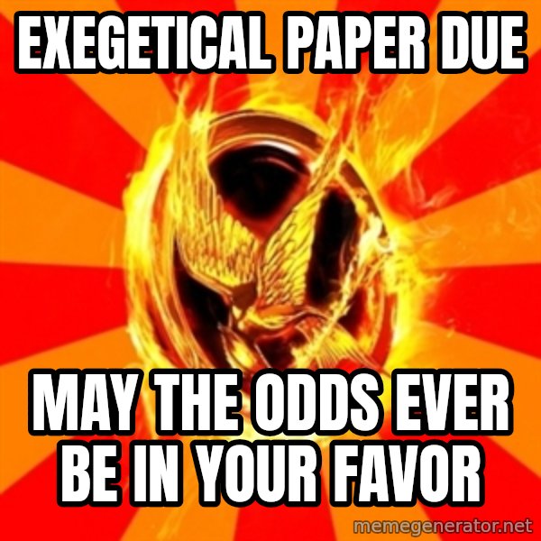 Typical fan of the hunger games meme: Exegetical paper due / may the odds ever be in your favor