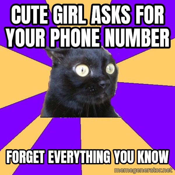 Anxiety Cat meme: Cute girl asks for your phone number / forget everything     you know