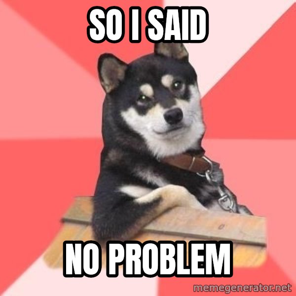 Cool Dog meme: so I said / NO PROBLEM