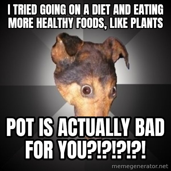 Depression Dog meme: I TRIED GOING ON A DIET AND EATING MORE HEALTHY FOODS, LIKE PLANTS / POT IS ACTUALLY BAD FOR YOU?!?!?!?!