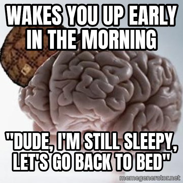 Scumbag Brain meme: wakes you up early in the morning / "Dude, I'm still sleepy, let's go back to bed"