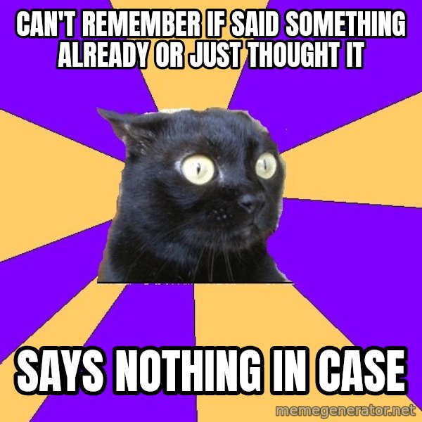 Anxiety Cat meme: can't remember if said something already or just thought it / says nothing in case