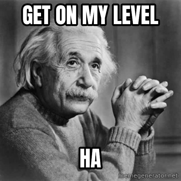 Albert Einstein meme: Get on my level / ha