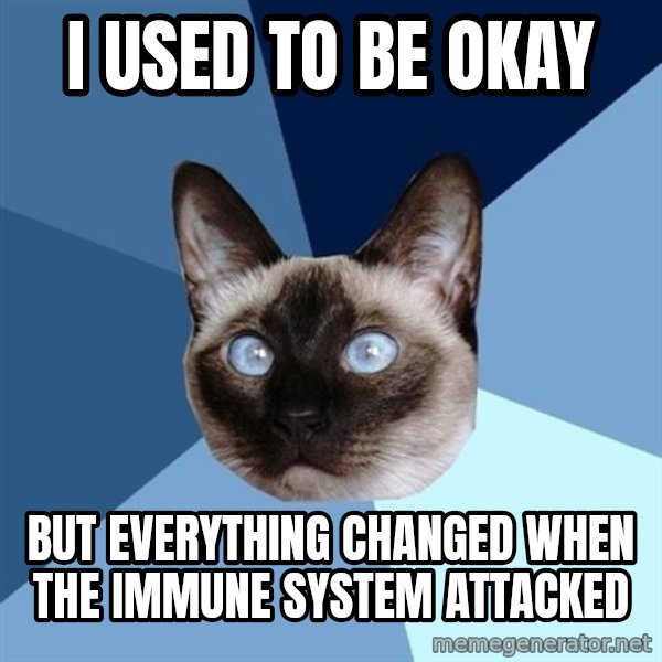 Chronic Illness Cat meme: I USED TO BE OKAY / BUT EVERYTHING CHANGED WHEN THE IMMUNE SYSTEM ATTACKED