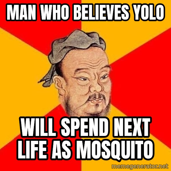 Wise Confucius meme: Man who believes YOLO / will spend next life as mosquito