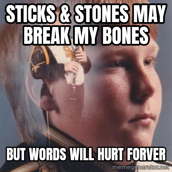 PTSD Clarinet Boy meme: STICKS & STONES MAY BREAK MY BONES / BUT WORDS WILL HURT FORVER