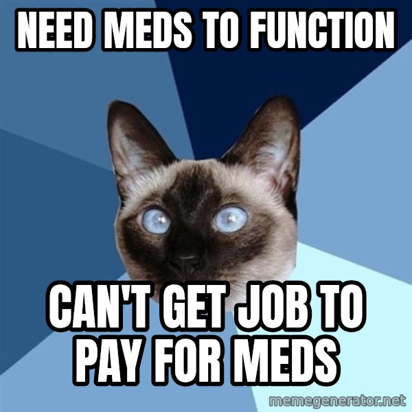 Chronic Illness Cat meme: need meds to function / can't get job to pay for meds