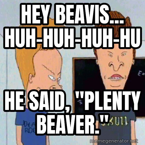 Beavis and butthead meme: Hey Beavis... huh-huh-huh-hu / He said, "plenty beaver."