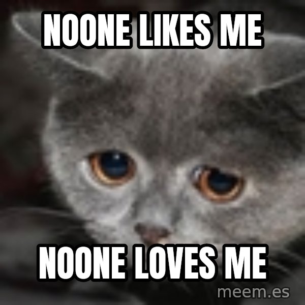 sad cat meme: noone likes me / noone loves me