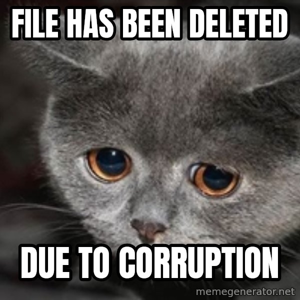 Sadcat meme: file has been deleted / due to corruption