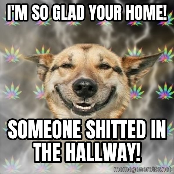 Stoner Dog meme: I'M SO GLAD YOUR HOME! / SOMEONE SHITTED IN THE HALLWAY!