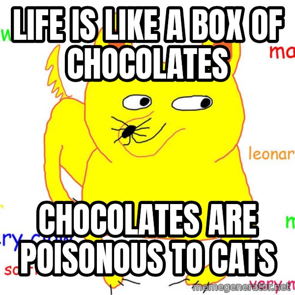 Grumpy Cat  meme: LIFE IS LIKE A BOX OF CHOCOLATES / CHOCOLATES ARE POISONOUS TO CATS
