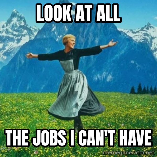Look at All the Fucks I Give meme: LOOK AT ALL / THE JOBS I CAN'T HAVE
