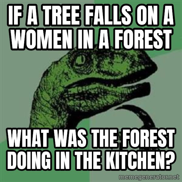 Philosoraptor meme: If a tree Falls on a women in a forest / what was the forest doing in the kitchen?