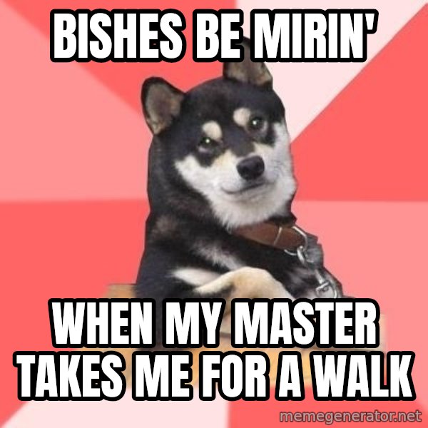 Cool Dog meme: bishes be mirin' / when my master takes me for a walk