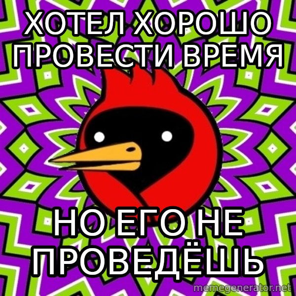 Omsk Crow meme: хотел хорошо провести время / но его не проведёшь