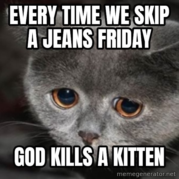 Sadcat meme: Every time we skip a jeans friday / god kills a kitten