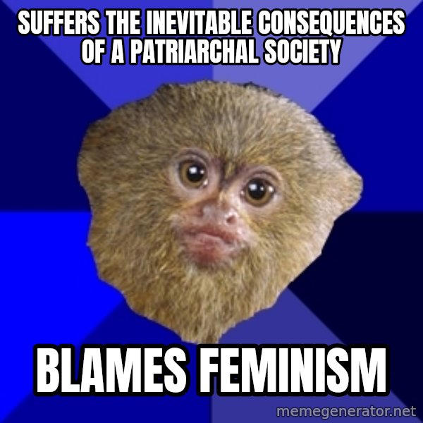 Mra Marmoset meme: suffers the inevitable consequences of a patriarchal society / blames feminism