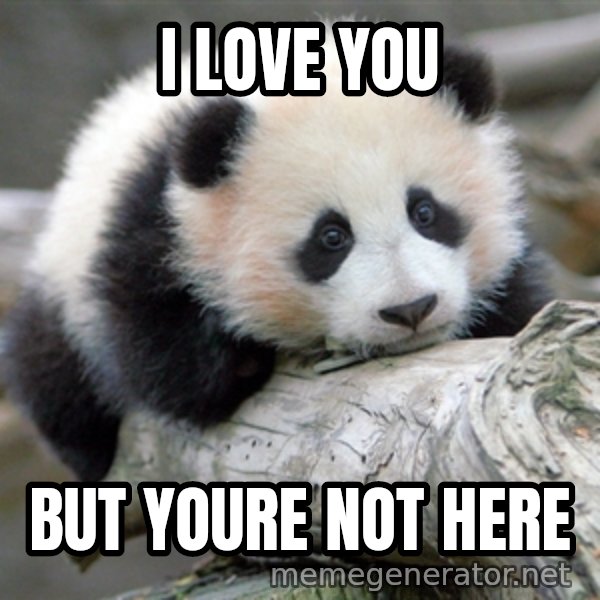sad panda meme: I LOve you / but youre not here