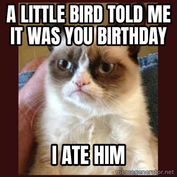 Grumpy Cat  meme: a little bird told me it was you birthday / i ate him