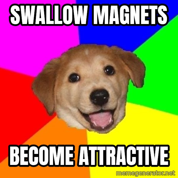 Advice Dog meme: Swallow magnets / Become attractive