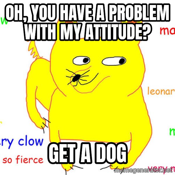 Grumpy Cat  meme: oh, you have a problem with my attitude? / get a dog